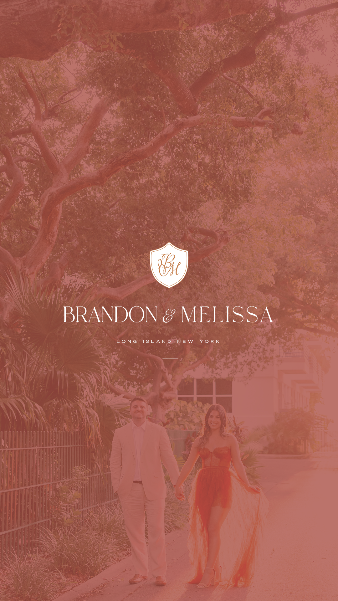 wedding logo / wedding monogram / wedding branding / wedding website