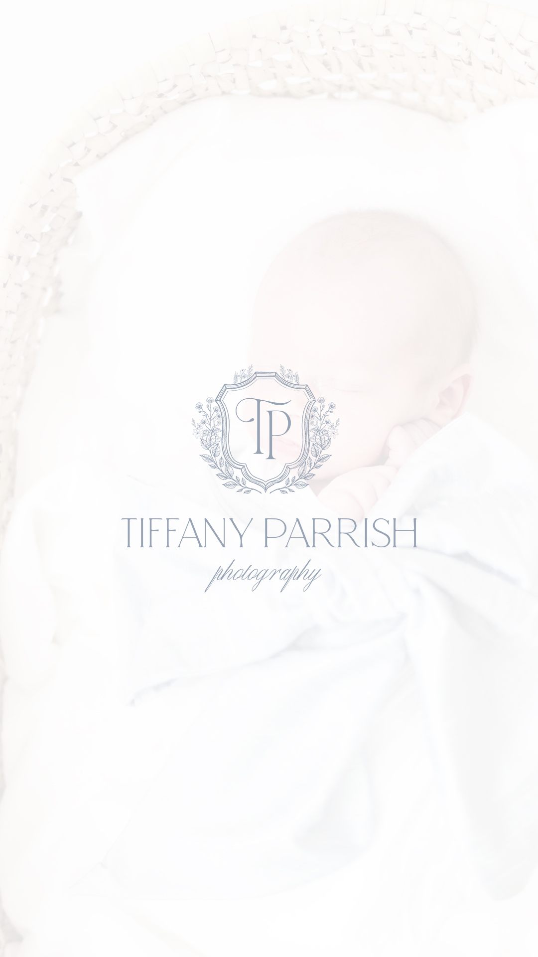 branding for photographers \ maternity photographer logo / fine art photography logo / dusty blue / crest / feminine branding