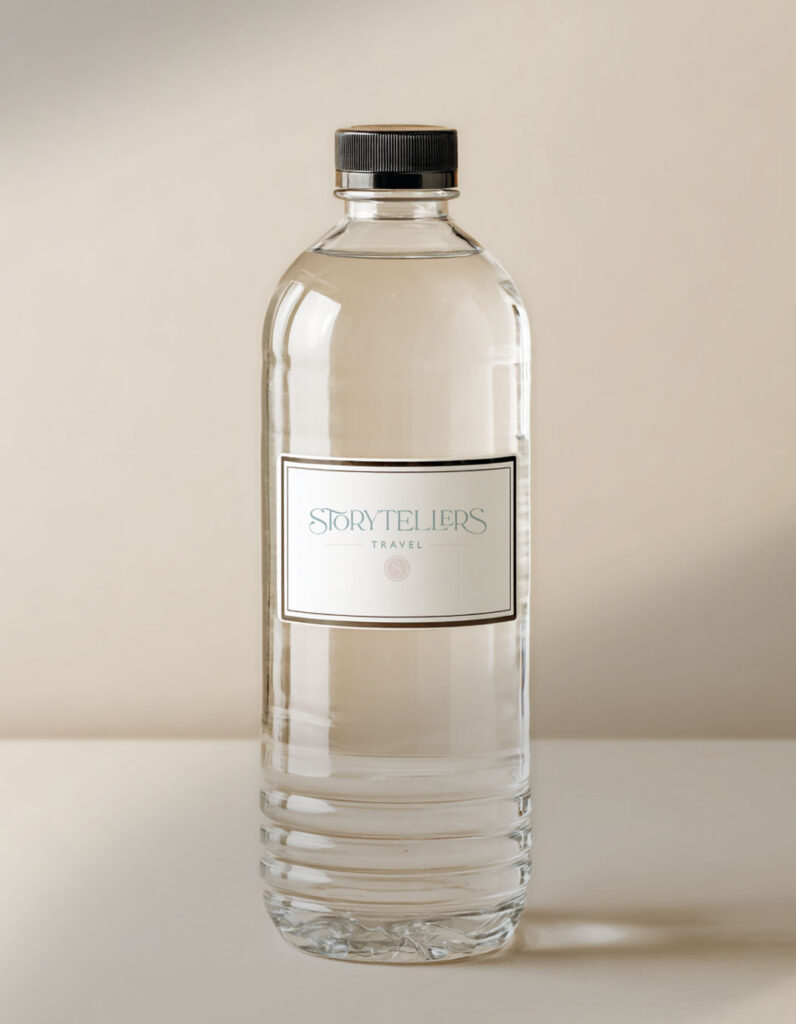 travel agency logo; travel agency brand and website; website for travel agency